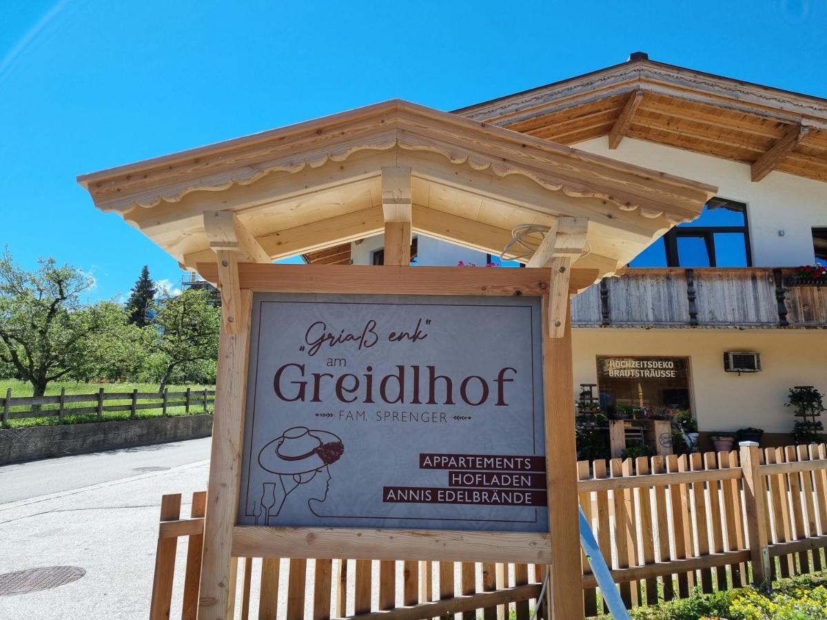 Greidlhof Alpstyle Apartments Fügen Buitenkant foto